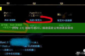 (代号 23) 揭秘代号23，探寻背后公司的真实身份