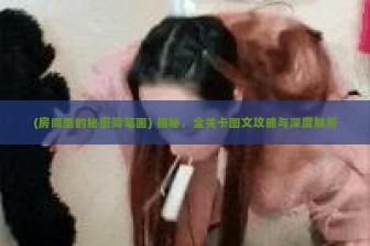 (房间里的秘密简笔画) 揭秘，全关卡图文攻略与深度解析