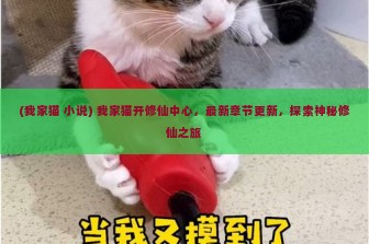 (我家猫 小说) 我家猫开修仙中心，最新章节更新，探索神秘修仙之旅