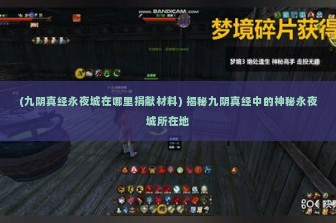 (九阴真经永夜城在哪里捐献材料) 揭秘九阴真经中的神秘永夜城所在地