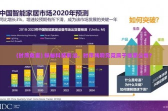 (时序危害) 探秘科技前沿，时序残响究竟属于哪家公司？